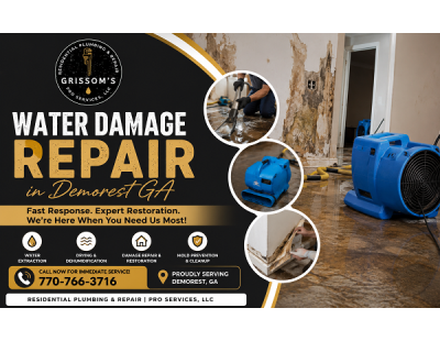 Water Damage Repair in Demorest GA