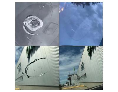 Window Chip Repair