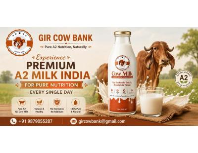 Experience Premium A2 Milk India for Pure Nutrition Every Single Day