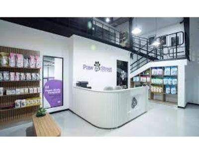 Pet Salon in Dubai – Professional Grooming & Care at Paw Street