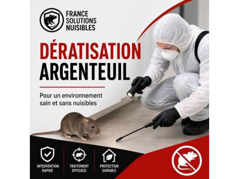 Traitement Professionnel contre les Punaises de Lit – France Solutions Nuisibles