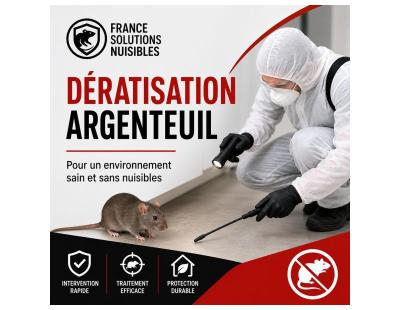 Traitement Professionnel contre les Punaises de Lit – France Solutions Nuisibles