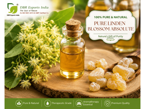 Pure Linden Blossom Absolute | Premium Natural Floral Extract
