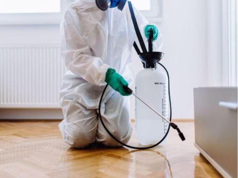 Pest Control
