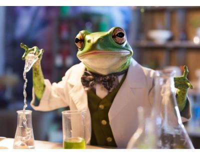 Science Party Fun | Science Party Animals