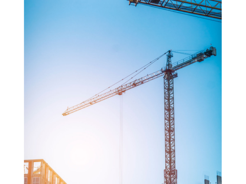 Reliable Temporary Labour Support in Palm Beach
