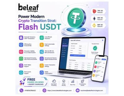 Power Modern Crypto Transition Strat: Flash USDT