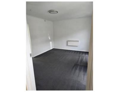 Professional Carpet Cleaning Solutions for Melbourne Properties
