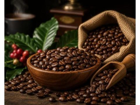Roasted Coffee Manufacturer for Arabica & Robusta