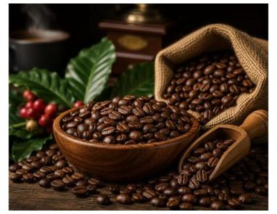 Roasted Coffee Manufacturer for Arabica & Robusta