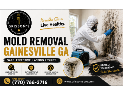 Mold Removal Gainesville GA