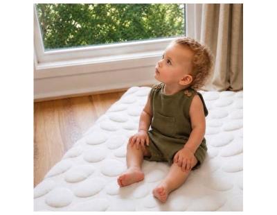 Why Coconut Coir Is a Popular Choice for Natural Baby Mattresses?