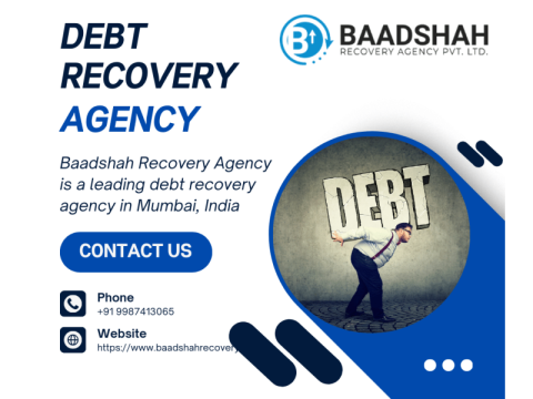 Debt Collection Agency | Baadshah Recovery Agency
