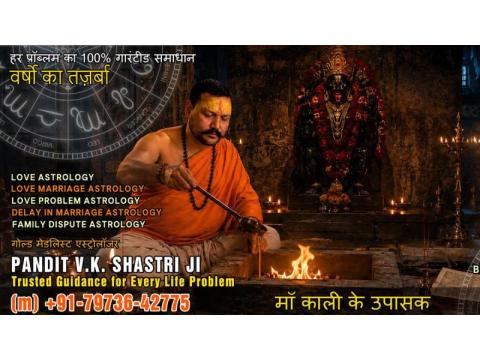 Best Astrologer, Love Marriage Problems
