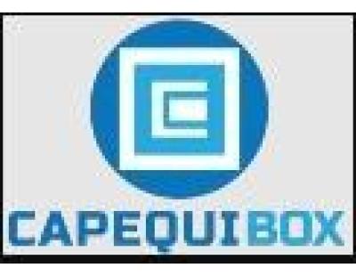 Calcium Hexaboride Powder for Copper Refining - Capequi Box