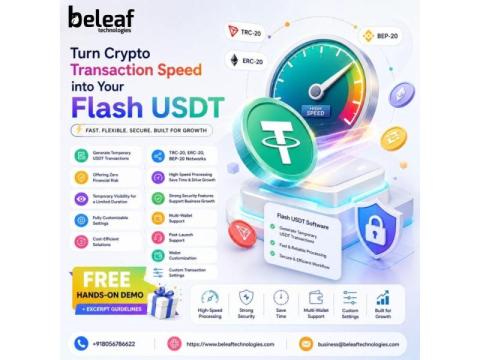 Turn Crypto Transaction Speed into Your Flash USDT