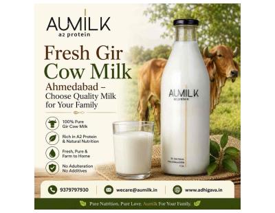 Fresh Gir Cow Milk Ahmedabad – Choose Quality Milk for Your Family