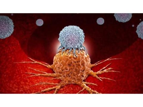 Best Immunotherapy Treatment in Noida by Dr. Manish Singhal