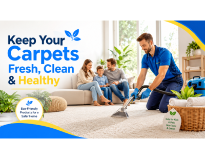 Carpet Cleaning Elwood – Clean, Fresh and Well-Maintained Carpets