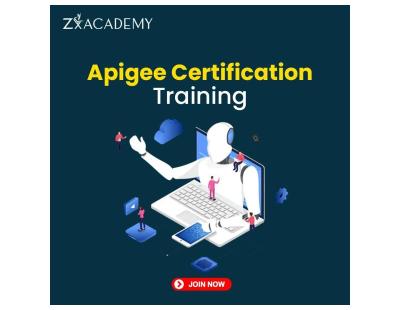 Apigee Online Training by Zx Academy | Google Apigee API Management Certification Course