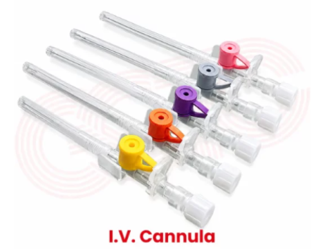 V Cannula for Hospitals, Clinics & Medical Distributors | GSTC