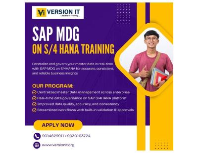 Version IT – One of the Trusted SAP MDG Training Institutes in Hyderabad for Career-Focused Learning