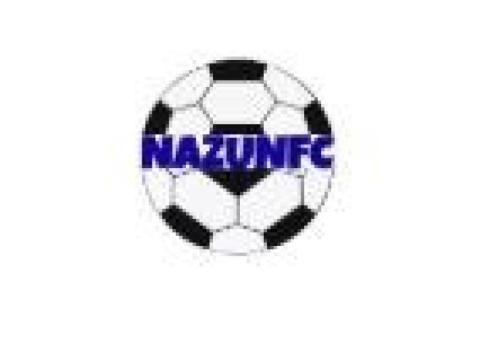 Wholesale Soccer Jerseys & Football Kits – Nazunfc