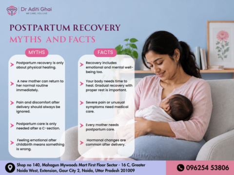 Best Gynecologist in Gaur City | Postpartum Care Myths & Facts