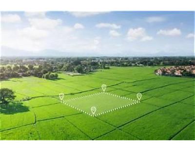 Plots For Rent in Bhawani Khera - Options