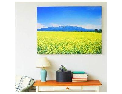 Shadows Photo Printing for Quality Photo Memories