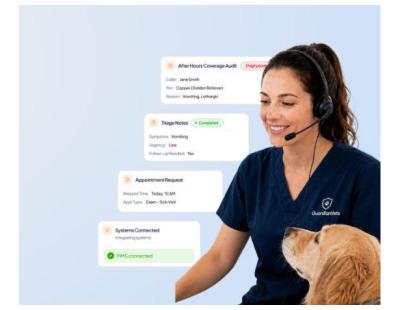 Veterinary call overflow service