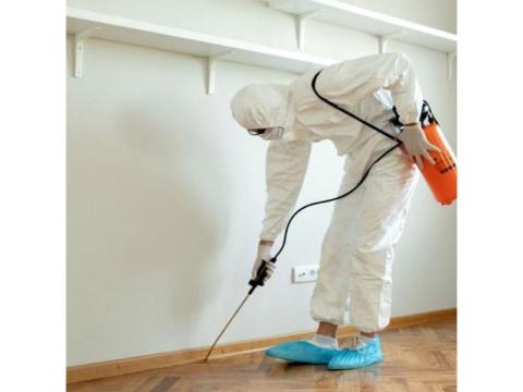 Pest Control Exterminator