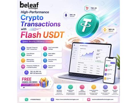 Advanced USDT Transaction Performance with Flash