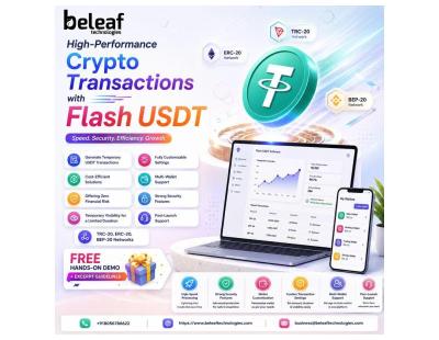 Advanced USDT Transaction Performance with Flash