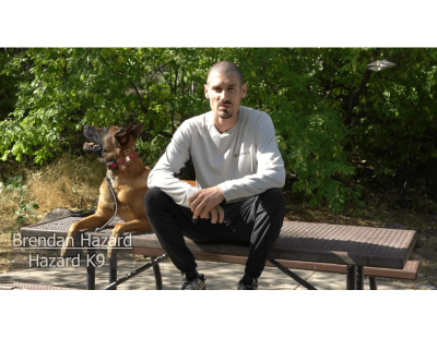 Professional Reno Dog Training for Better Behavior and Obedience