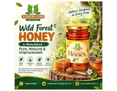 Wild Forest Honey in Ahmedabad – Pure, Natural & Unprocessed