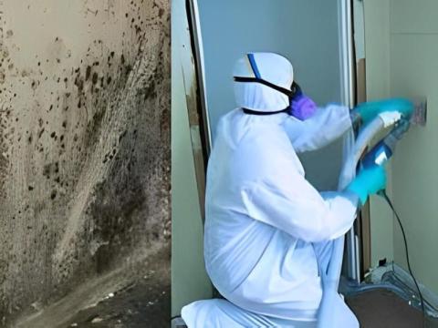 Flood Damaged Carpet Cleaning | Fast Restoration