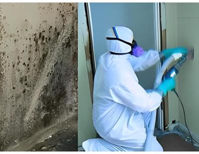 Flood Damaged Carpet Cleaning | Fast Restoration