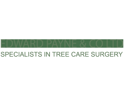 Tree Surgeon | Edward Payne and Co