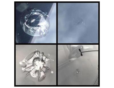 Windshield Stone Chip Repair