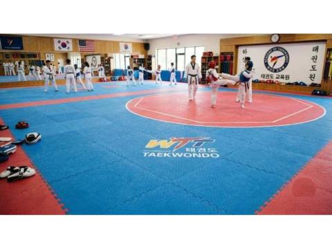 Taekwondo Mats at Best Price in India