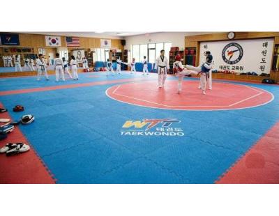 Taekwondo Mats at Best Price in India