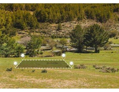 Top Land Title Newcastle Property Services