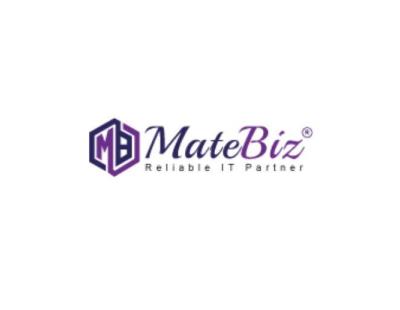 Professional Website Design Agency for Growing Businesses