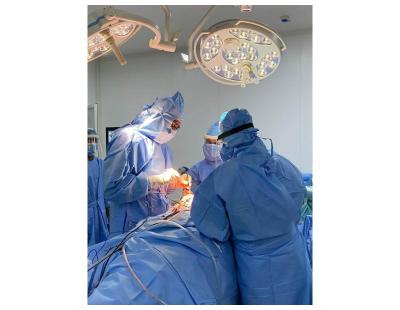 Endovascular Coil Therapy for the Management of Cerebral Aneurysms