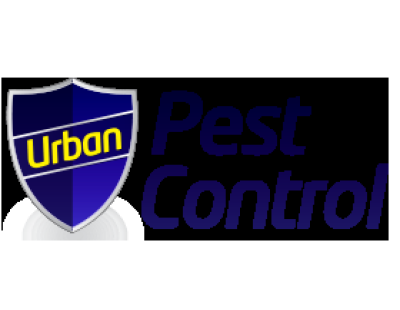 Wasp Nest Removal Poole at Urban Pest Control