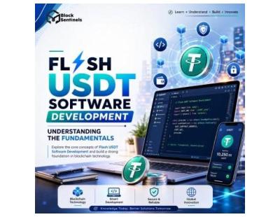 Flash USDT Software Development: Understanding the Fundamentals