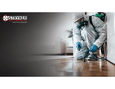How Can Regular Pest Control Help Keep Your Columbus Home Safe?