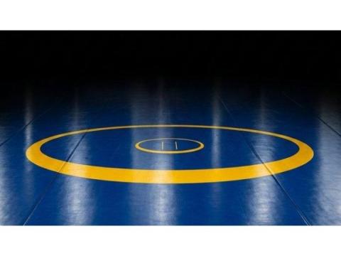 Wrestling Mat In Delhi, India at Best Price