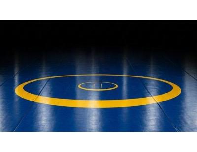 Wrestling Mat In Delhi, India at Best Price